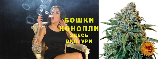 стаф Козельск