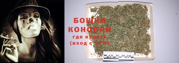 прущая мука Козловка