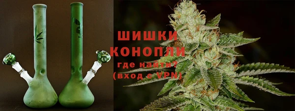 стаф Козельск