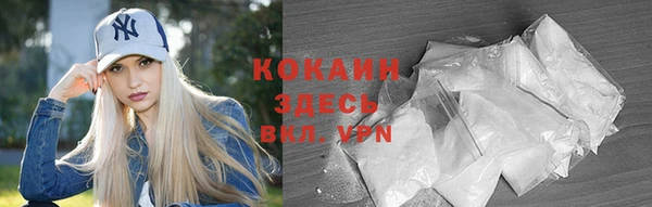 стаф Козельск