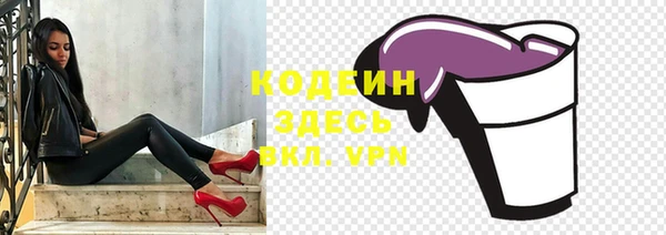 СК Кодинск
