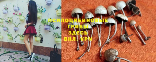 прущая мука Козловка