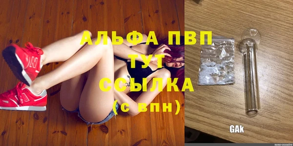стаф Козельск
