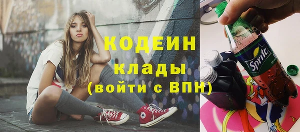 СК Кодинск