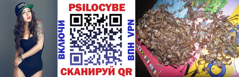 Псилоцибиновые грибы мицелий  Купить  Осинники 